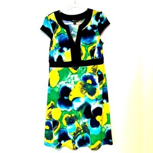 AB Studio Floral Pansy Print Shift Travel friendly Dress sz XL